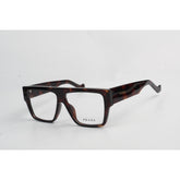 Tortoise Brown